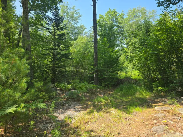 $90,000 | 0 Head Tide Hill Road, Alna, ME 04535