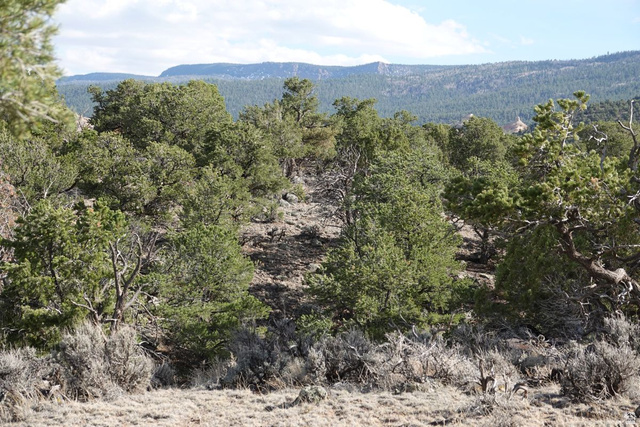 1115 East Donkey Flts Road Teasdale, UT 84773 - Photo 8 of 13