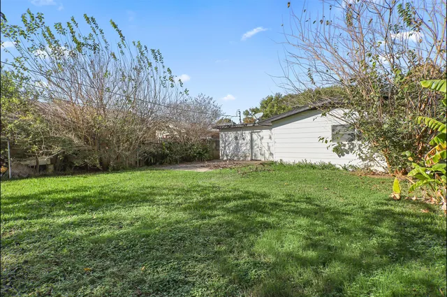 a view of a backyard with plants and large trees