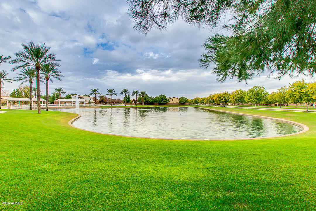 4367 East Page Avenue Gilbert, AZ 85234 - Photo 14 of 16 47-Page