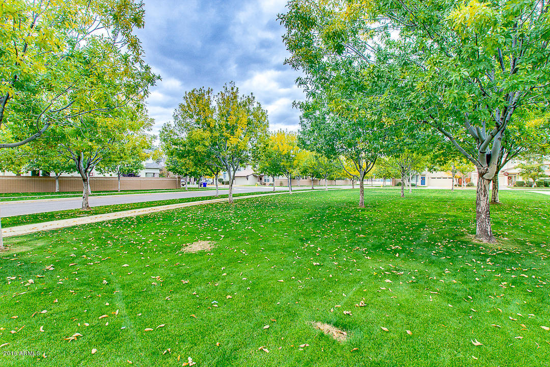 4367 East Page Avenue Gilbert, AZ 85234 - Photo 15 of 16 48-Page