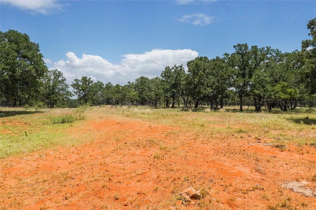 16.5-acres Burwick Road Jacksboro, TX 76458 - Photo 14 of 38