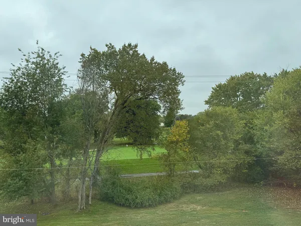 a view of a yard with a trees