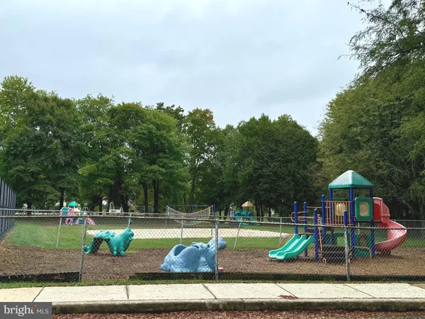 a view of a park with large trees