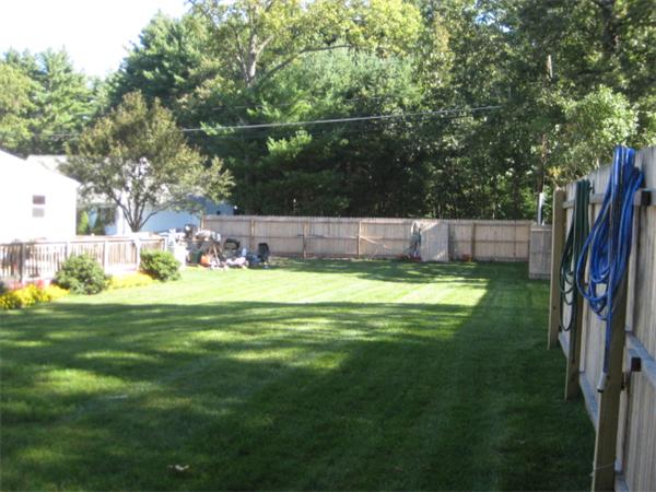 5 Mark Street Springfield, MA 01129 - Photo 4 of 7 a view of a swimming pool with a yard
