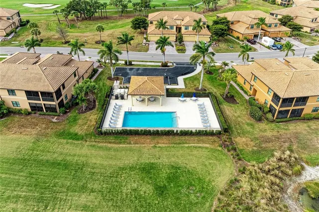 a view of a park with palm trees