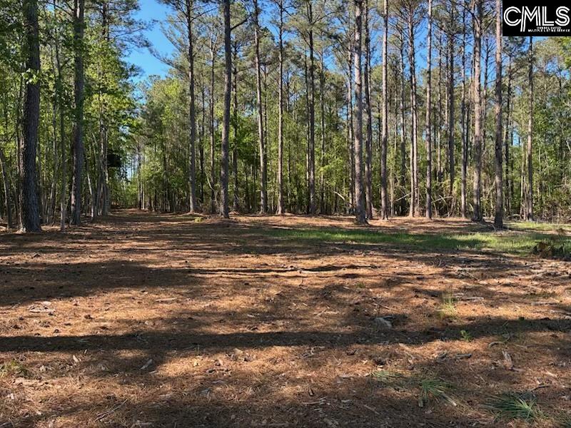 0 Mud Creek Road Newberry, SC 29108 - Photo 5 of 10