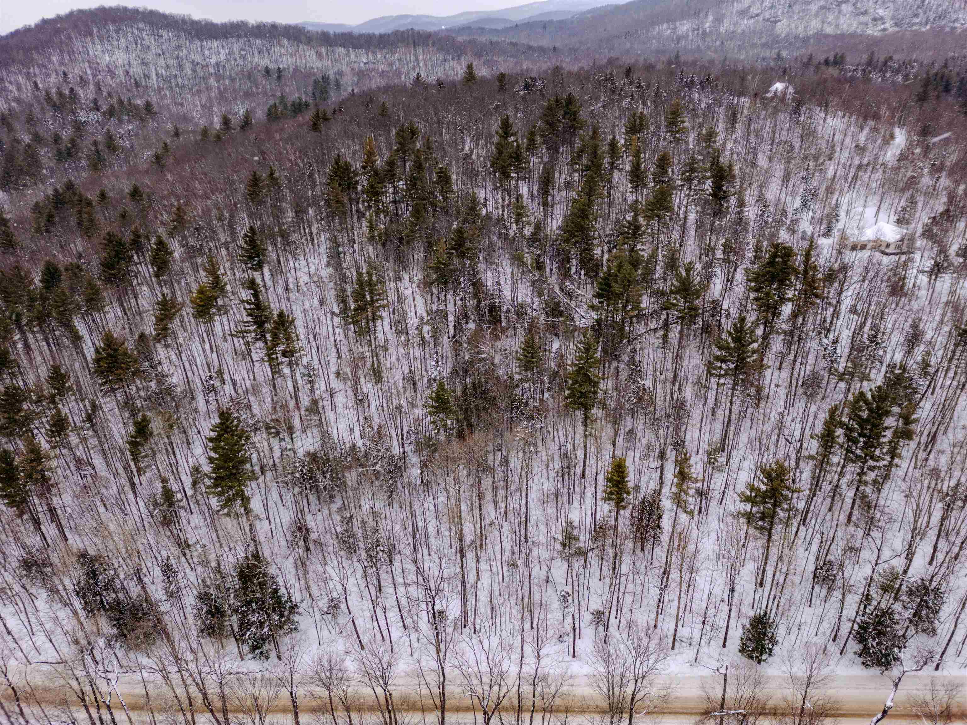 0 Upper Meehan Road Bristol, VT 05443 - Photo 11 of 20