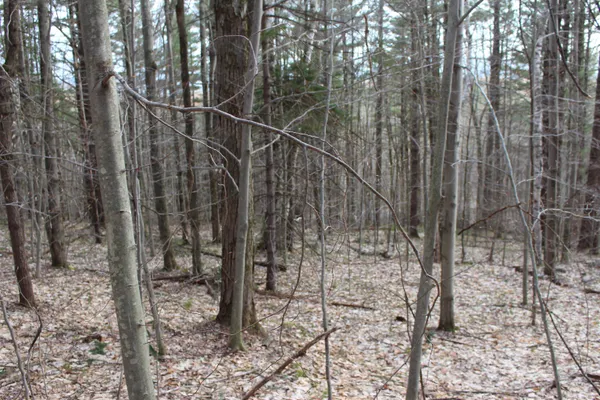 $120,000 | 0 Upper Meehan Road, Bristol, VT 05443