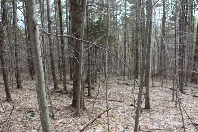 $120,000 | 0 Upper Meehan Road, Bristol, VT 05443