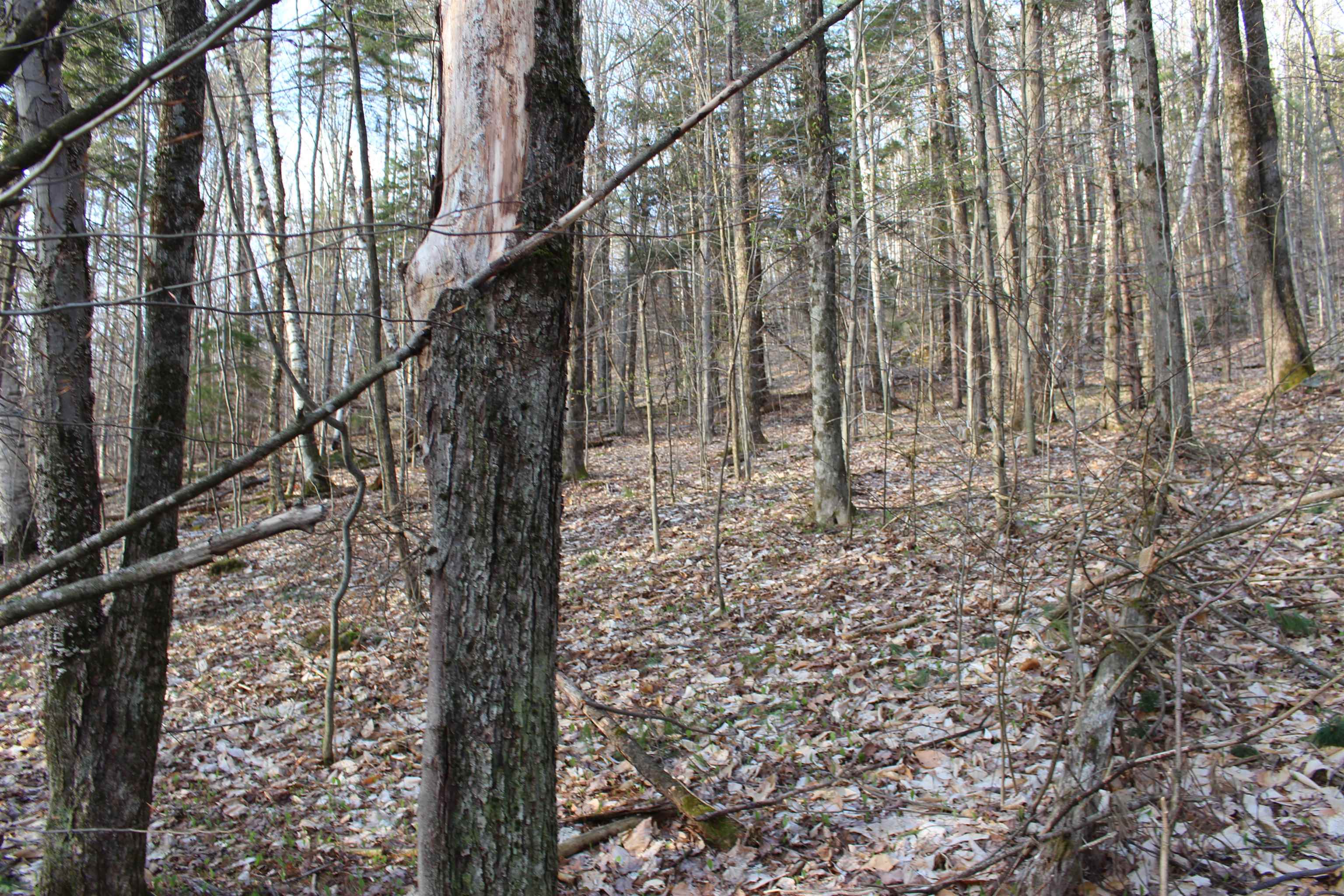 0 Upper Meehan Road Bristol, VT 05443 - Photo 18 of 20