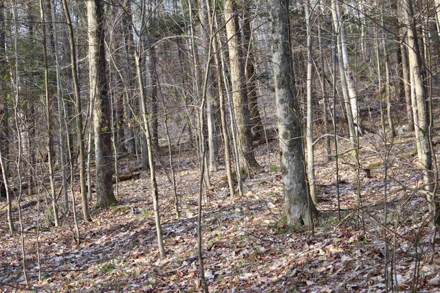 $120,000 | 0 Upper Meehan Road, Bristol, VT 05443