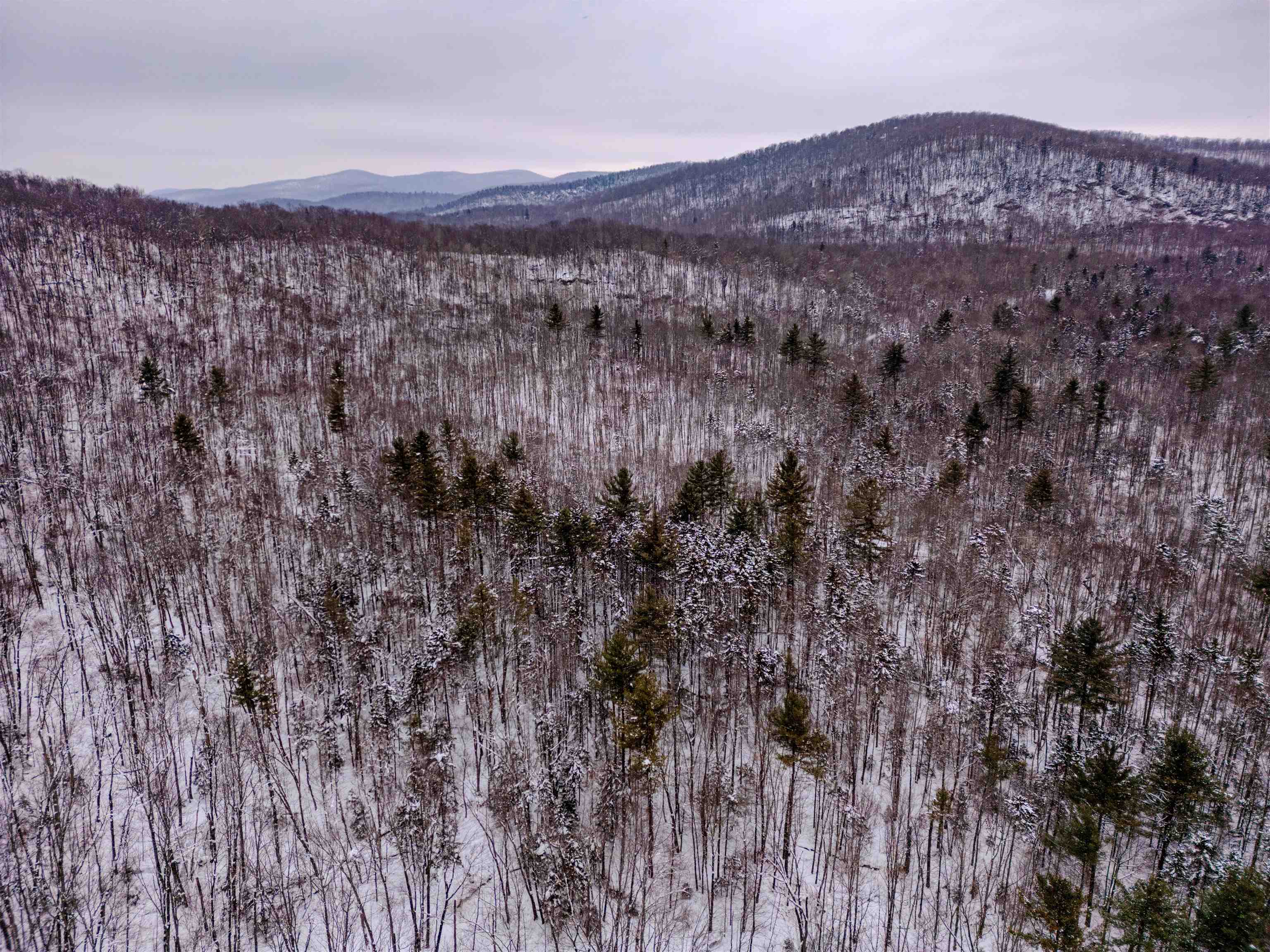 0 Upper Meehan Road Bristol, VT 05443 - Photo 20 of 20