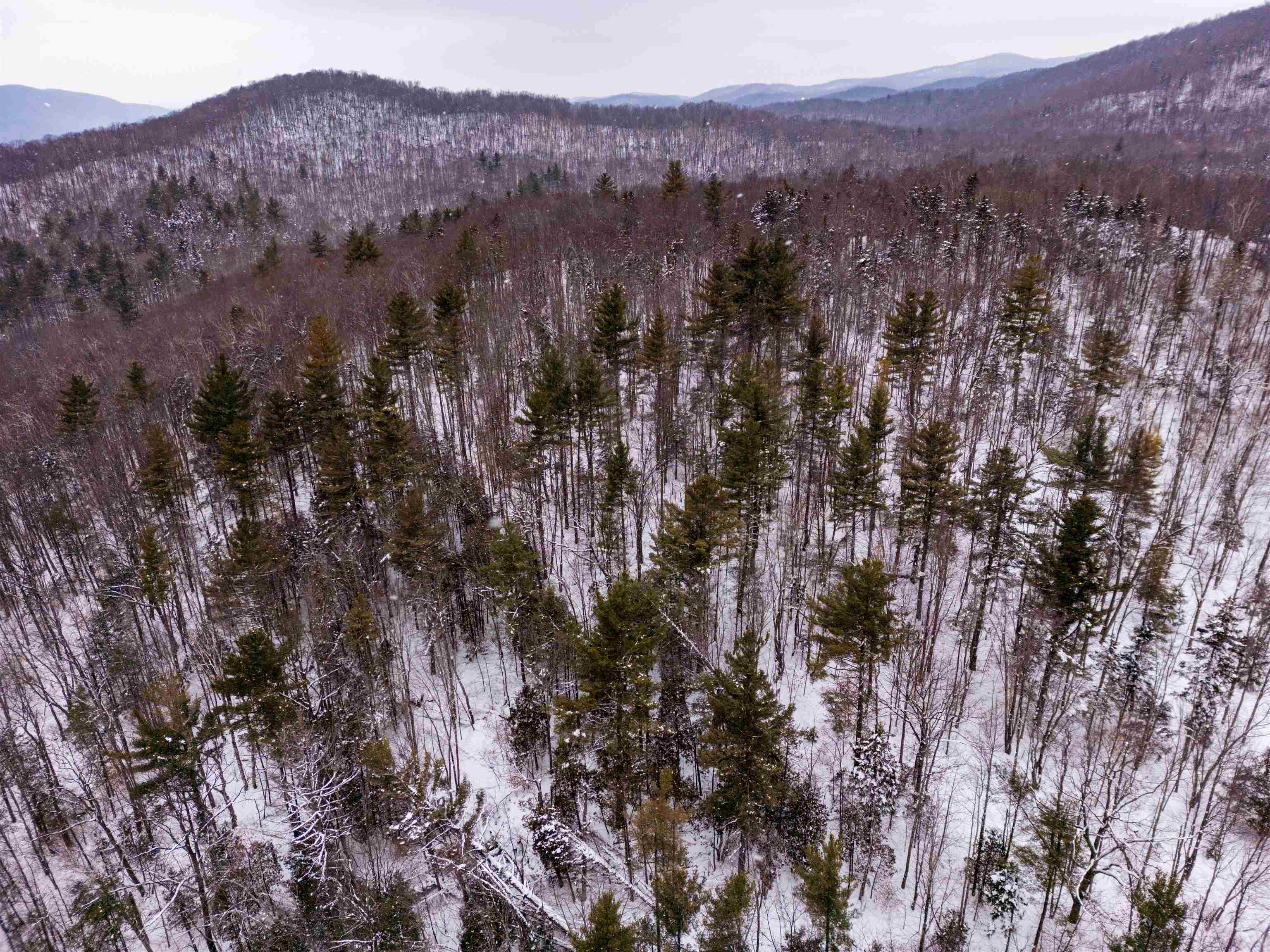 0 Upper Meehan Road Bristol, VT 05443 - Photo 5 of 20