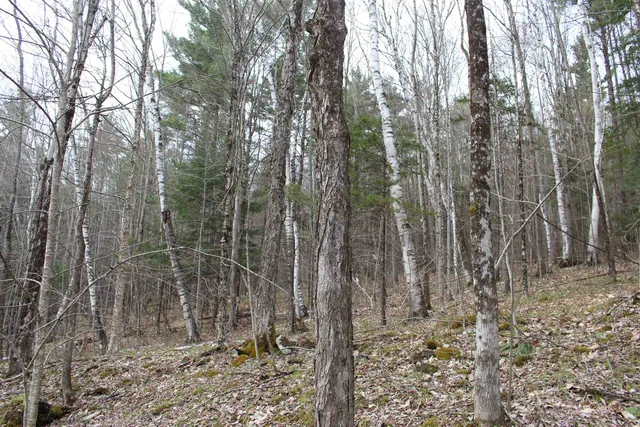 $120,000 | 0 Upper Meehan Road, Bristol, VT 05443