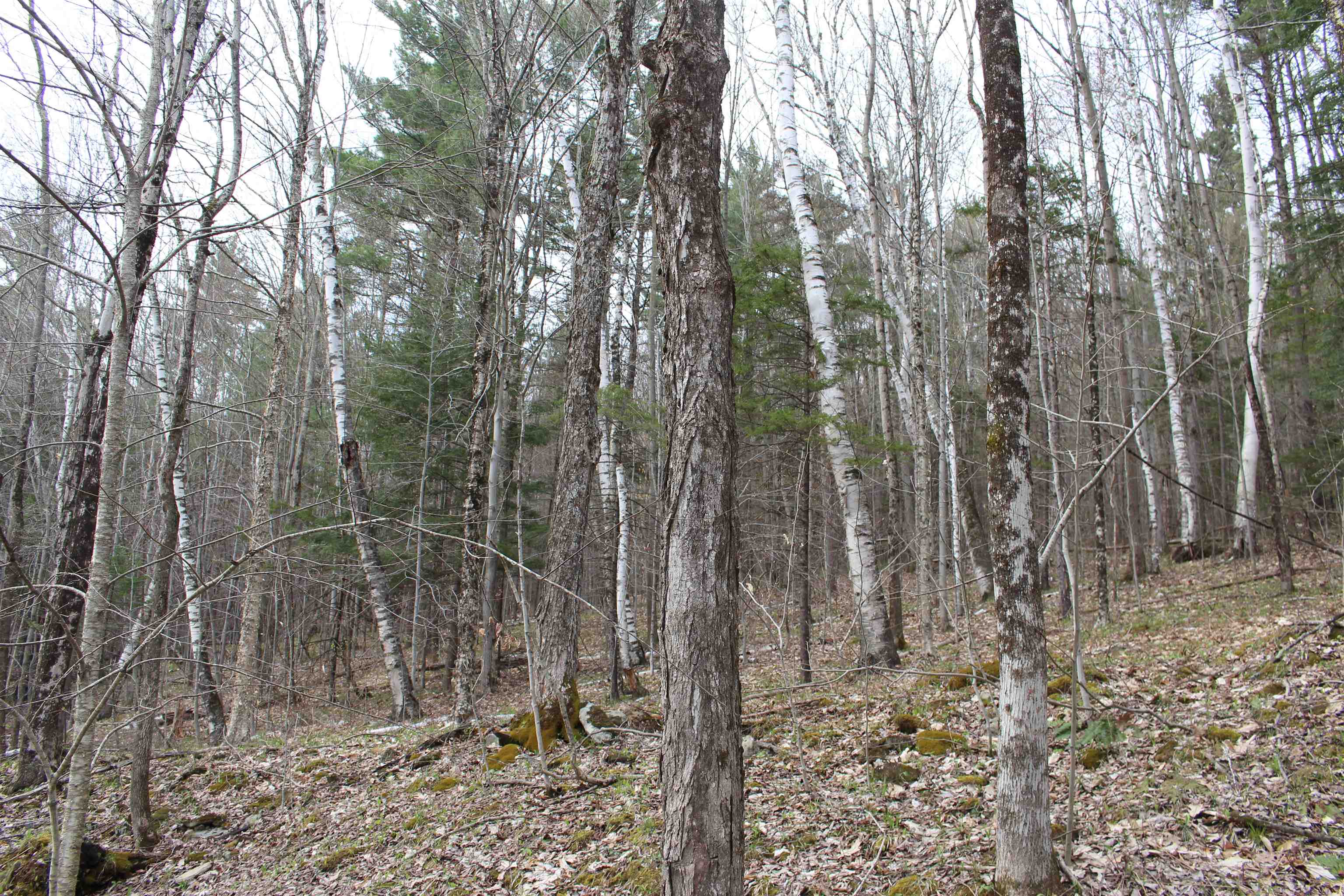 0 Upper Meehan Road Bristol, VT 05443 - Photo 9 of 20