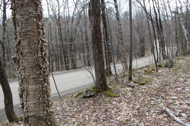 $120,000 | 0 Upper Meehan Road, Bristol, VT 05443