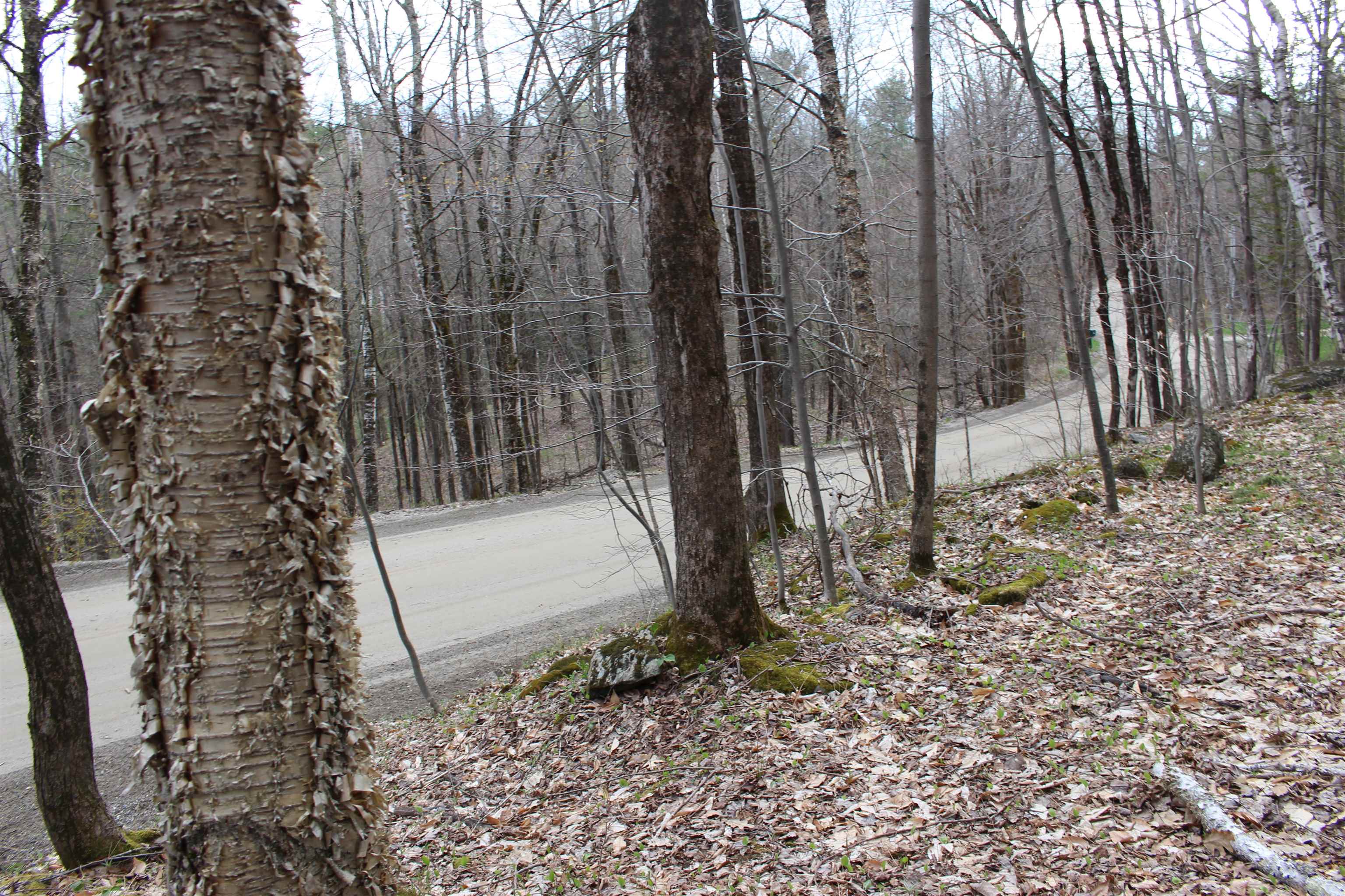 0 Upper Meehan Road Bristol, VT 05443 - Photo 10 of 20