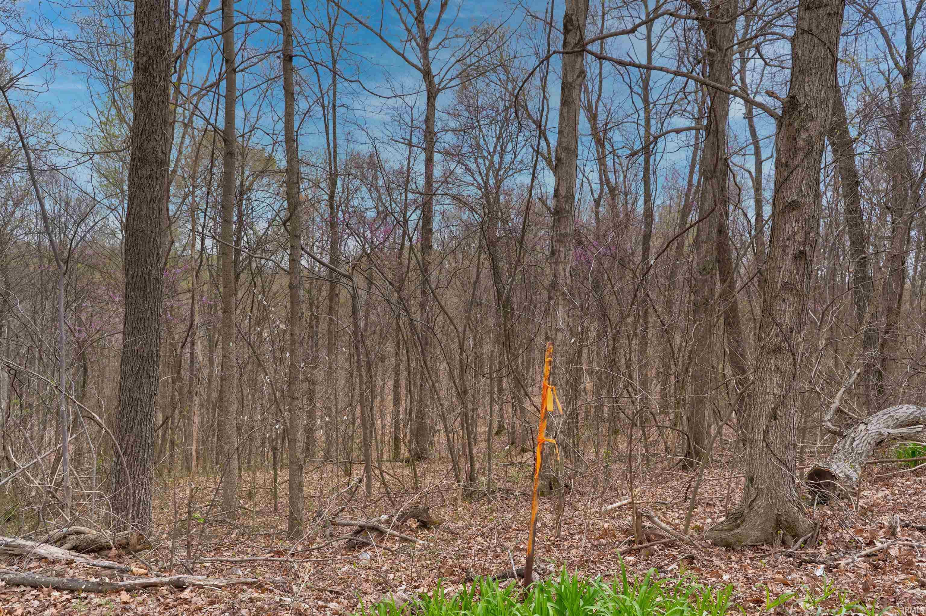 0 Brushy Fork Road Tell City, IN 47586 - Photo 10 of 30