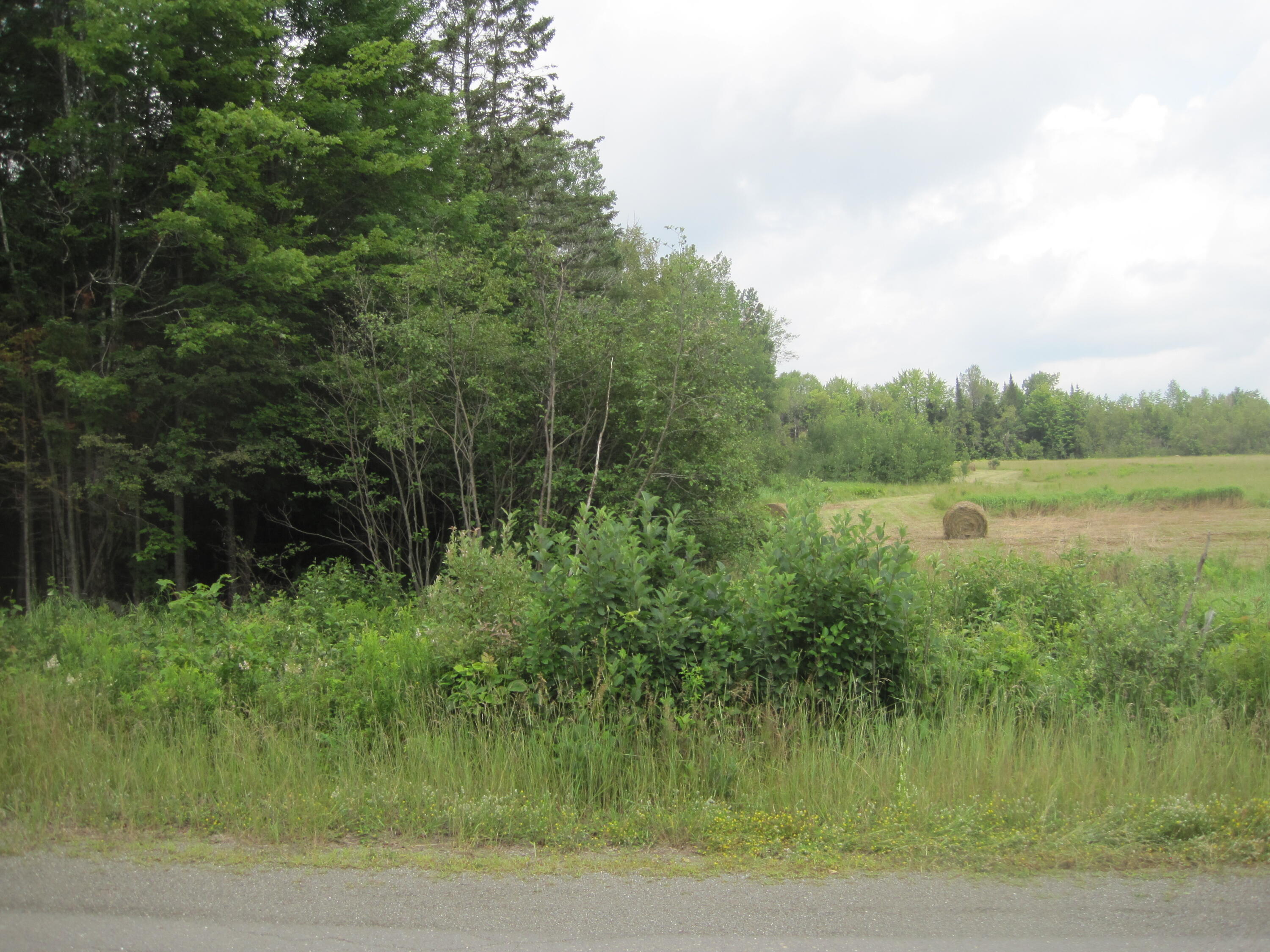 Lot 1 Town Line Road Merrill, ME 04780 - Photo 3 of 6 MastallerLot1-C(2)