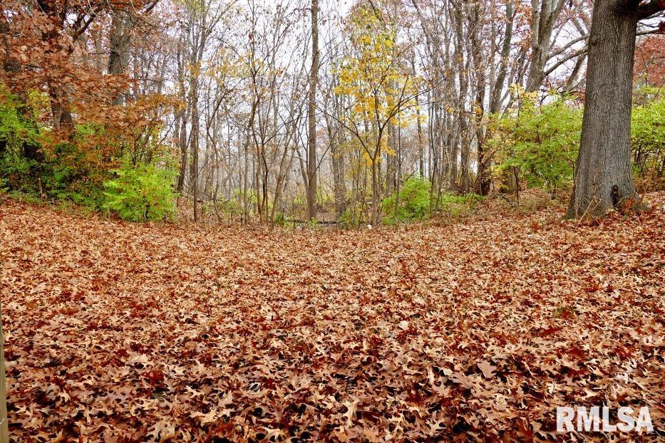 1540 Division Street Metamora, IL 61548 - Photo 36 of 38