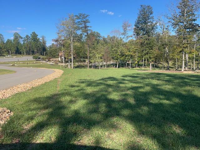 405 Boone Pass Jasper, TN 37347 - Photo 80 of 80 IMG_7211