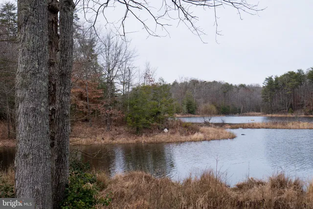 a view of a lake with trees by side of it