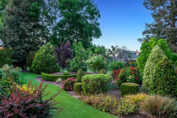 a view of a garden with plants and large trees