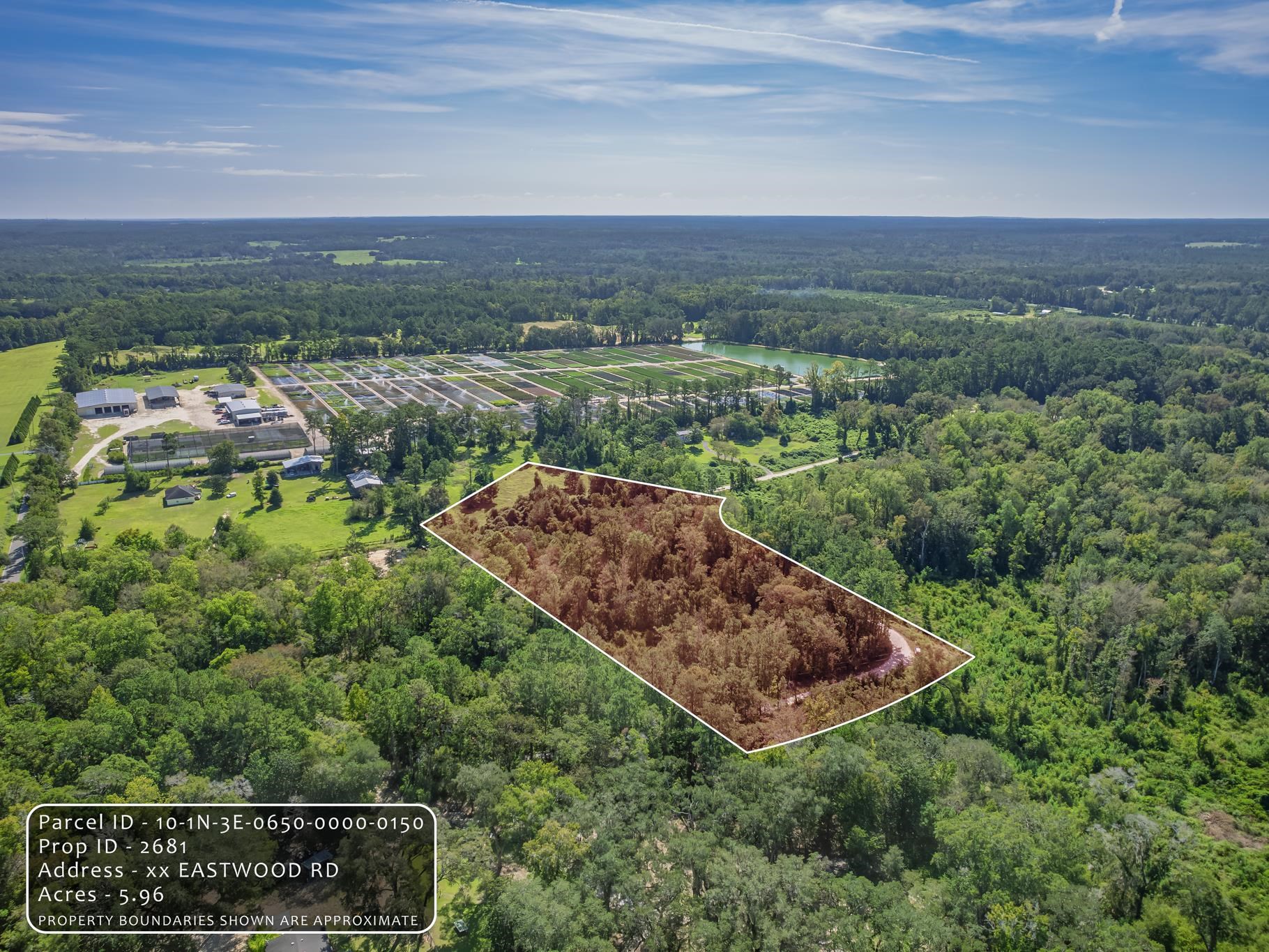 Eastwood Road Monticello, FL 32344 - Photo 14 of 20 Gallery Image 14