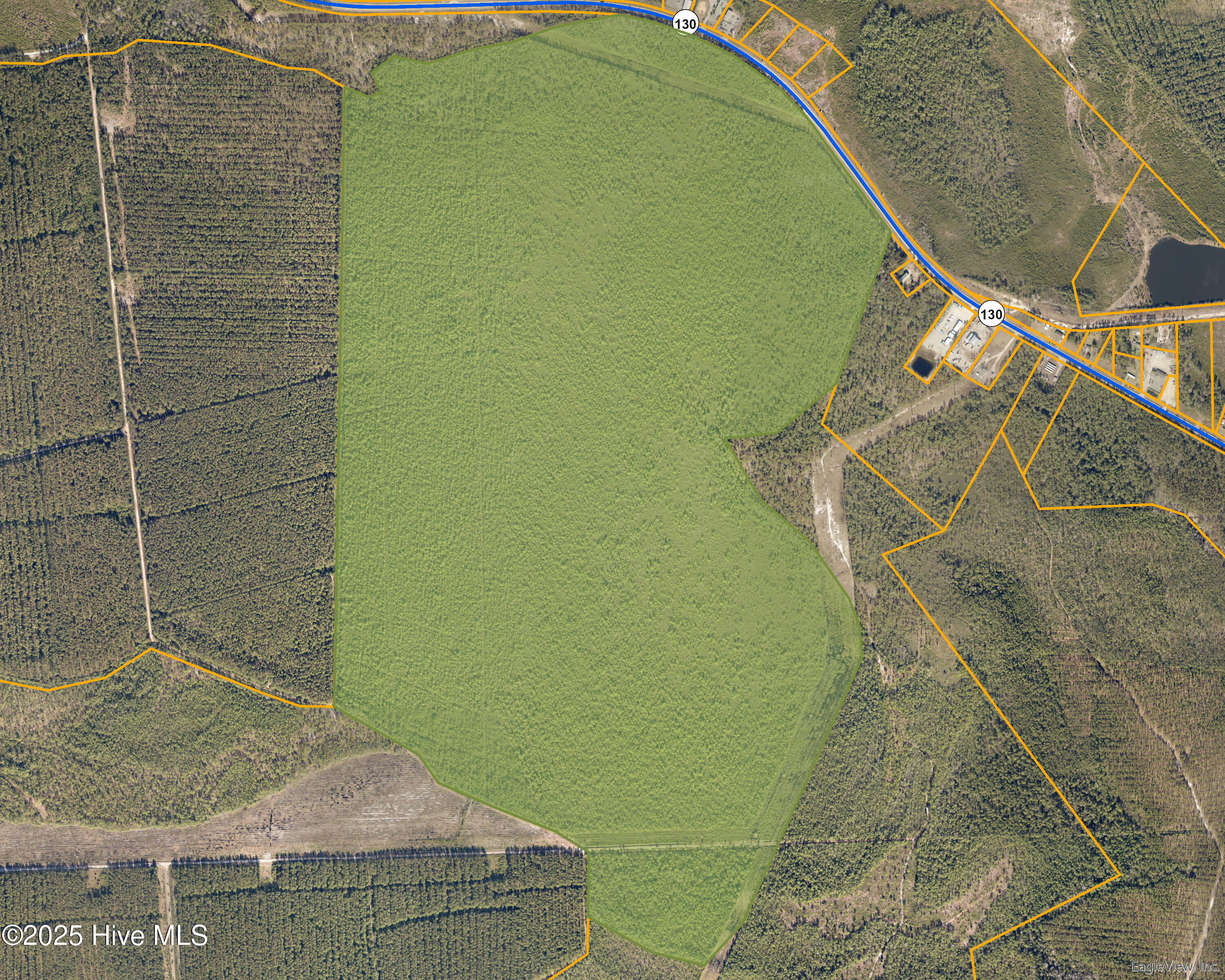 483.10 Whiteville Road Northwest Shallotte, NC 28470 - Photo 8 of 10 gis parcel 2