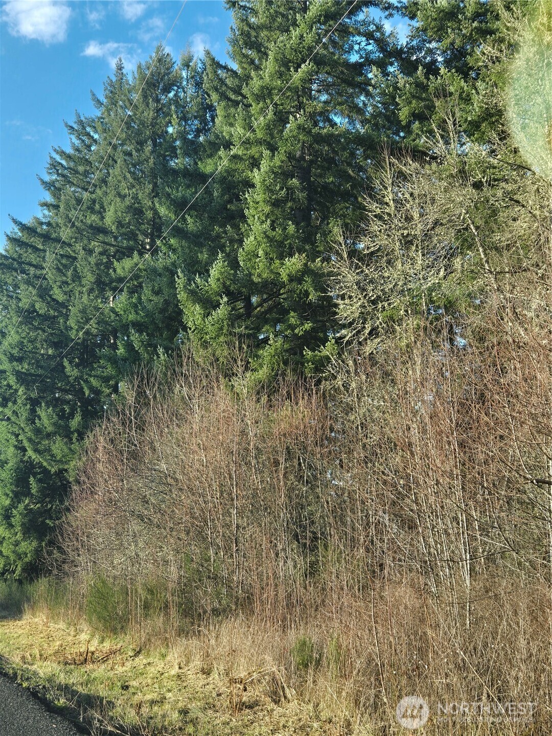0 Clinton Road Chehalis, WA 98532 - Photo 6 of 11 Gallery Image 6