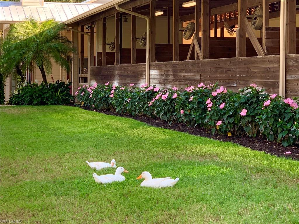 3800 Staley Road Fort Myers, FL 33905 - Photo 47 of 50 Barn