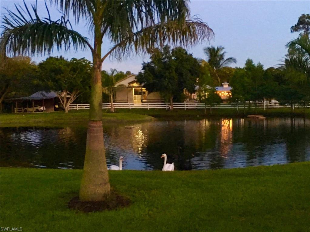 3800 Staley Road Fort Myers, FL 33905 - Photo 49 of 50 a lake view with a garden