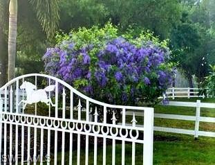 3800 Staley Road Fort Myers, FL 33905 - Photo 50 of 50 Barn Landscaping