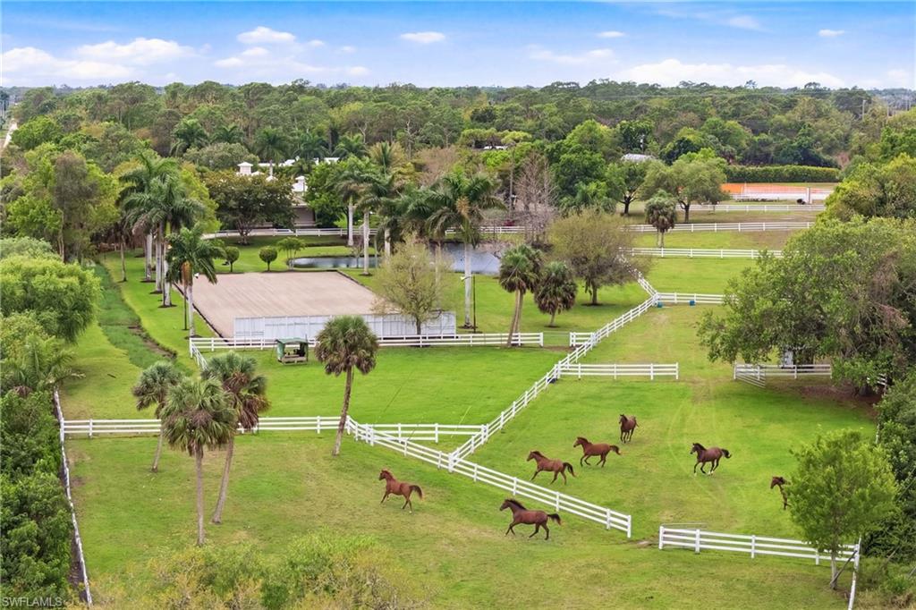 3800 Staley Road Fort Myers, FL 33905 - Photo 7 of 50 Aerial
