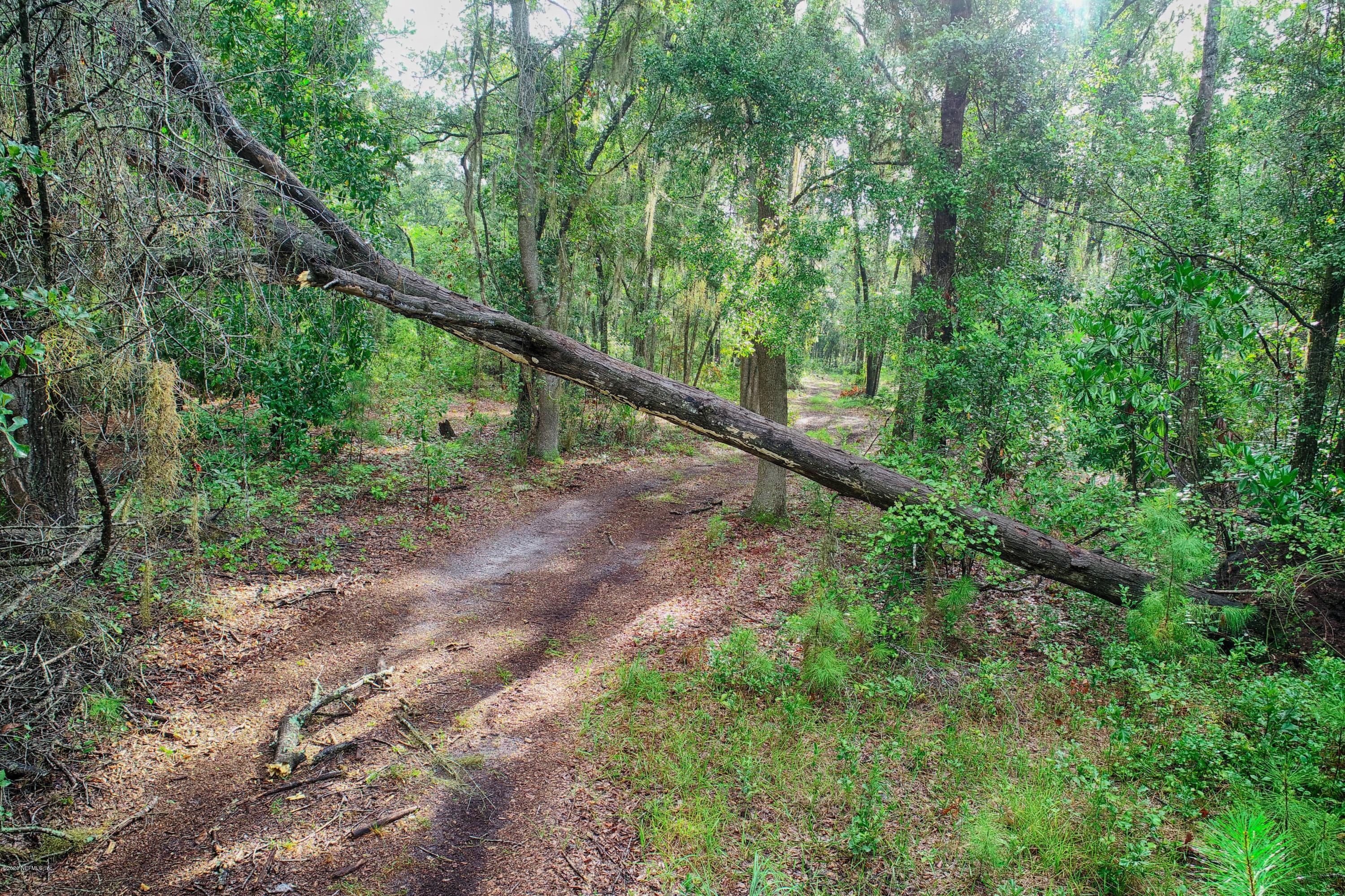 9511 Co Road Earleton, FL 32631 - Photo 10 of 14 9