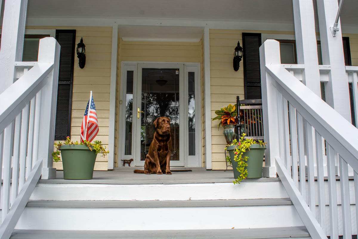 8887 Palmetto Road Edisto Island, SC 29438 - Photo 7 of 54 _DSC2018