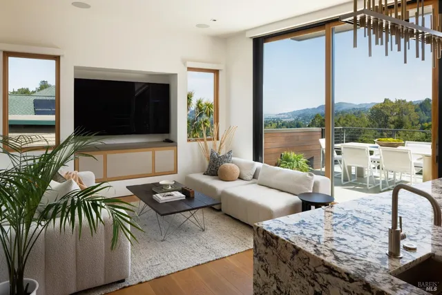 a living room with furniture and a potted plant