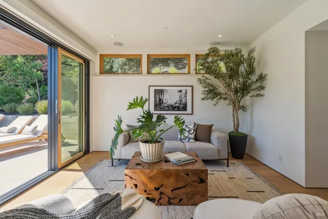 a living room with furniture and a potted plant