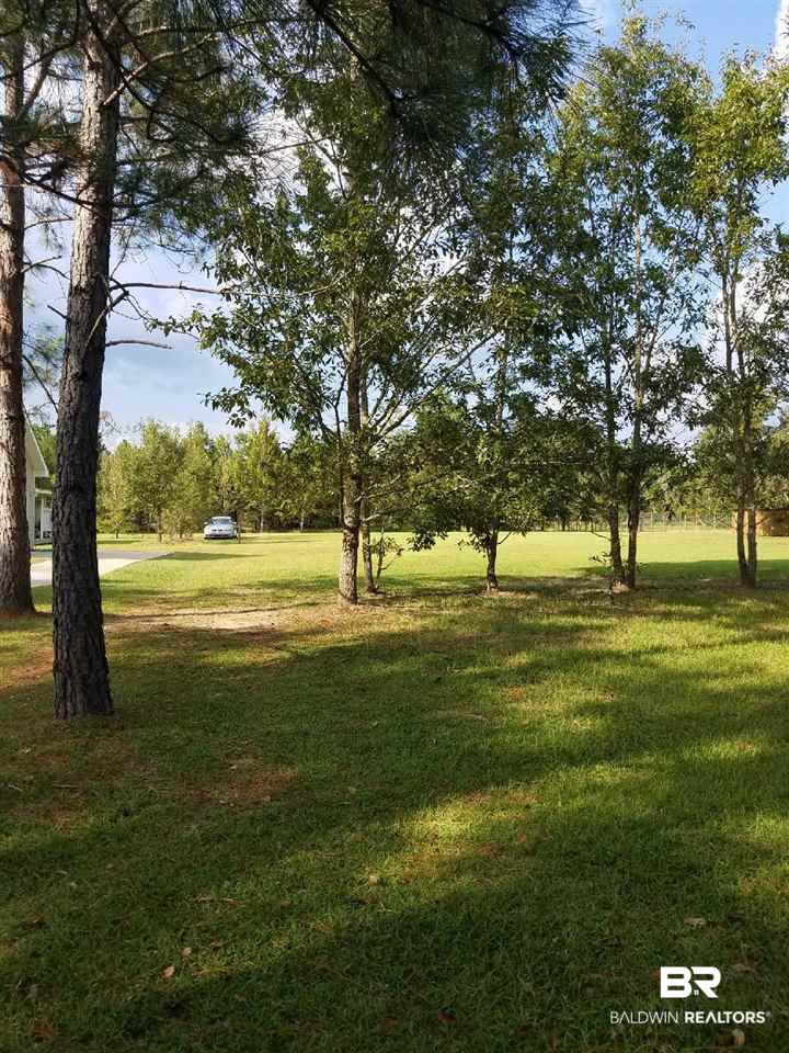62 South County Road Robertsdale, AL 36567 - Photo 5 of 8