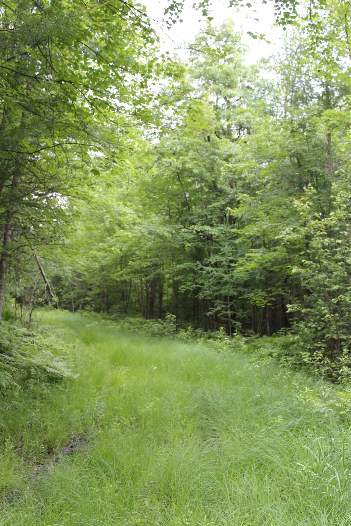 0 Rouse Road Neillsville, WI 54456 - Photo 19 of 27