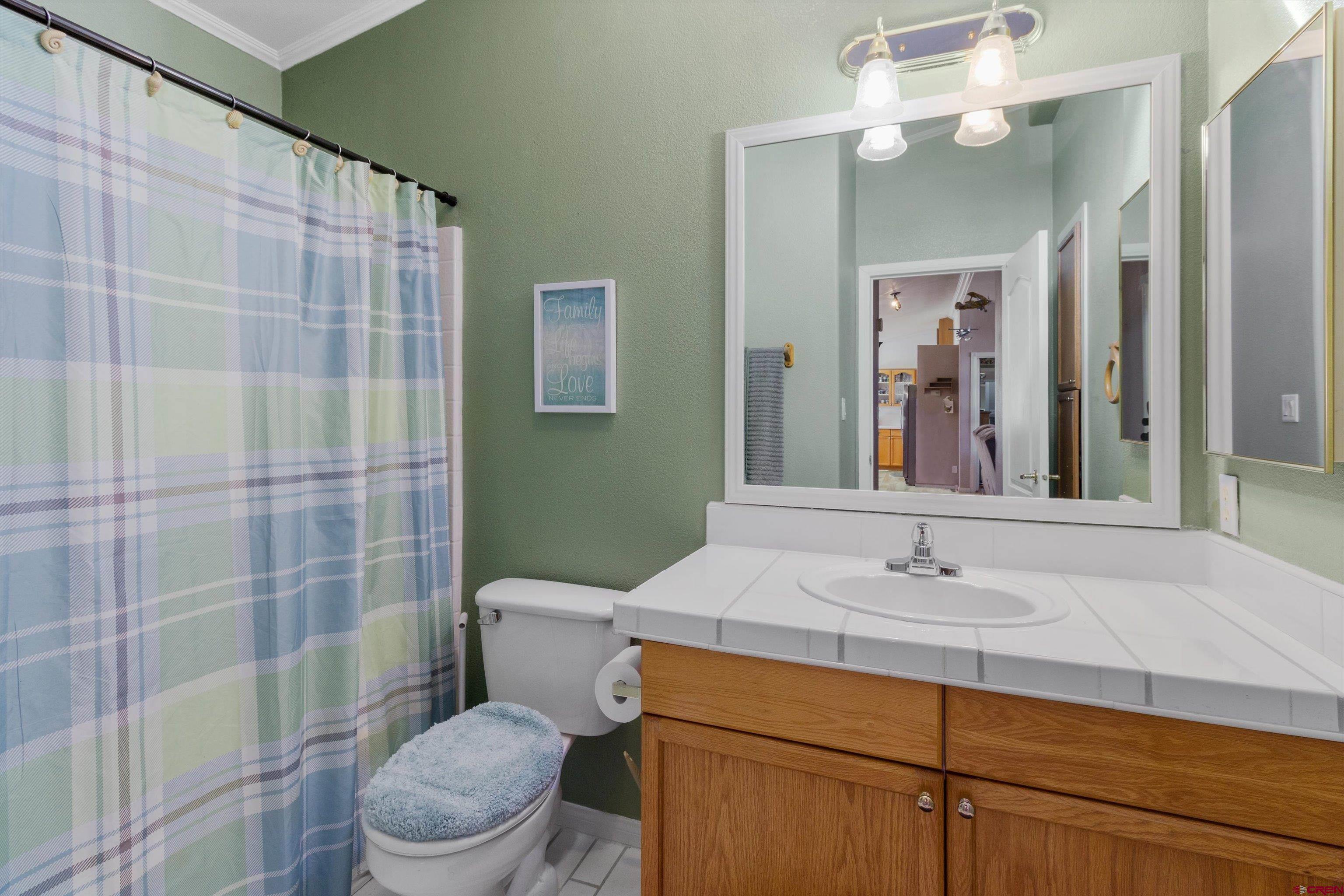 34 Silverview Court Durango, CO 81303 - Photo 24 of 29 a bathroom with a sink a toilet a mirror and shower