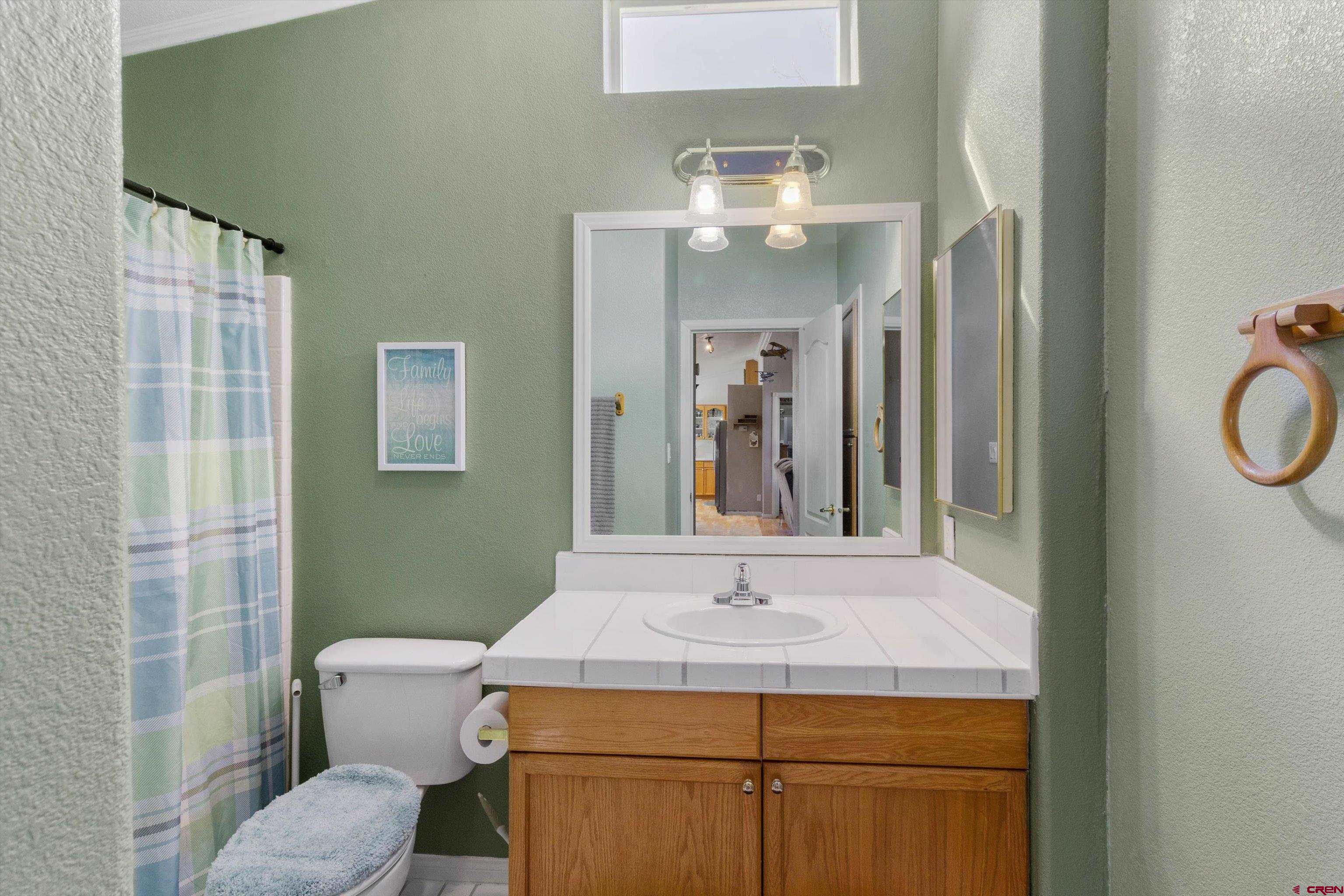 34 Silverview Court Durango, CO 81303 - Photo 25 of 29 a bathroom with a sink toilet and mirror