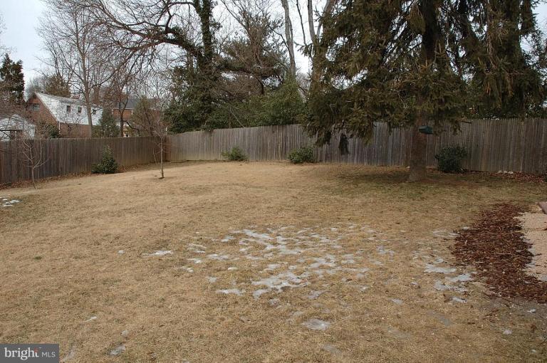 310 Franklin Place Silver Spring, MD 20901 - Photo 9 of 10 Back yard