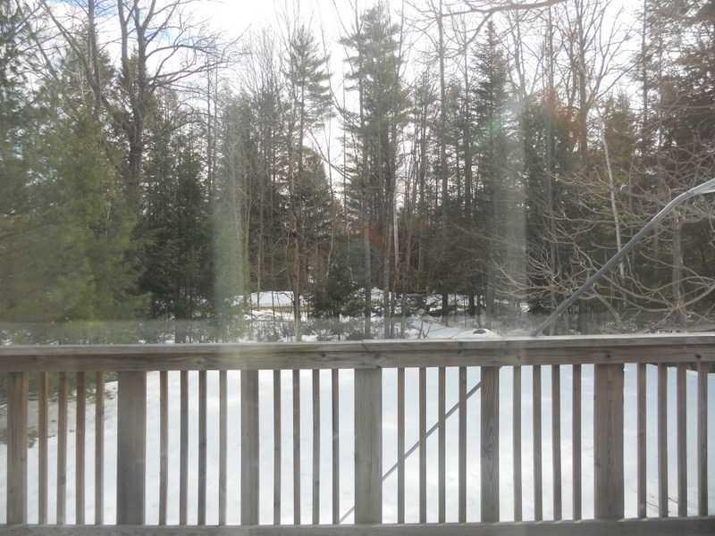 337 Beech Plains Road Buxton, ME 04093 - Photo 22 of 25 View. from the deck peaceful view.