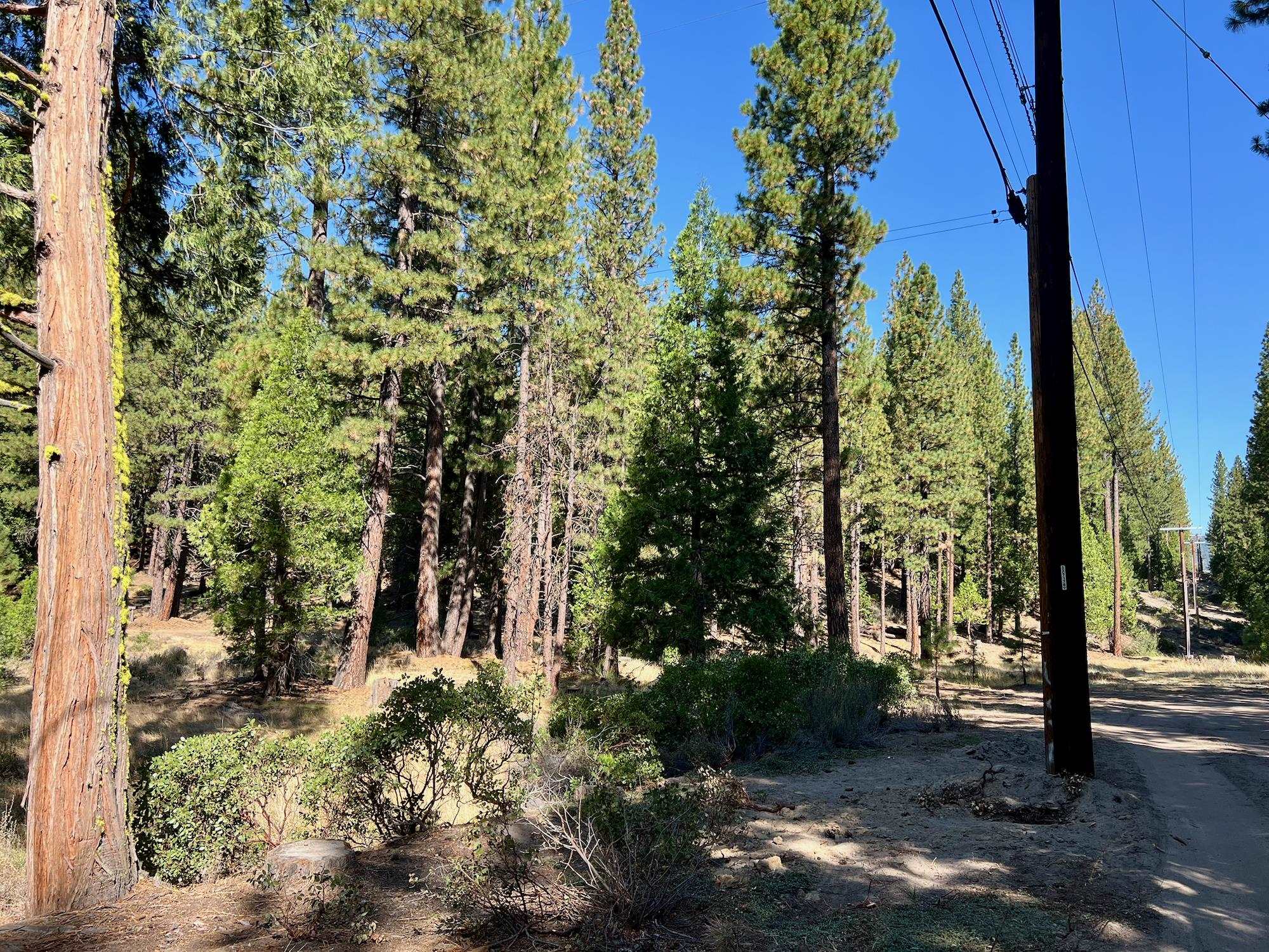 1651 Woodpecker Road Clio, CA 96106 - Photo 34 of 50 Gallery Image 34