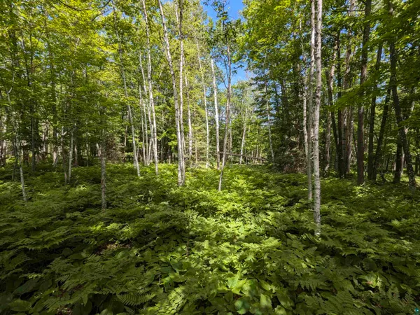 $70,000 | 13 State Highway 13, Port Wing, WI 54865