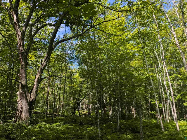 $70,000 | 13 State Highway 13, Port Wing, WI 54865