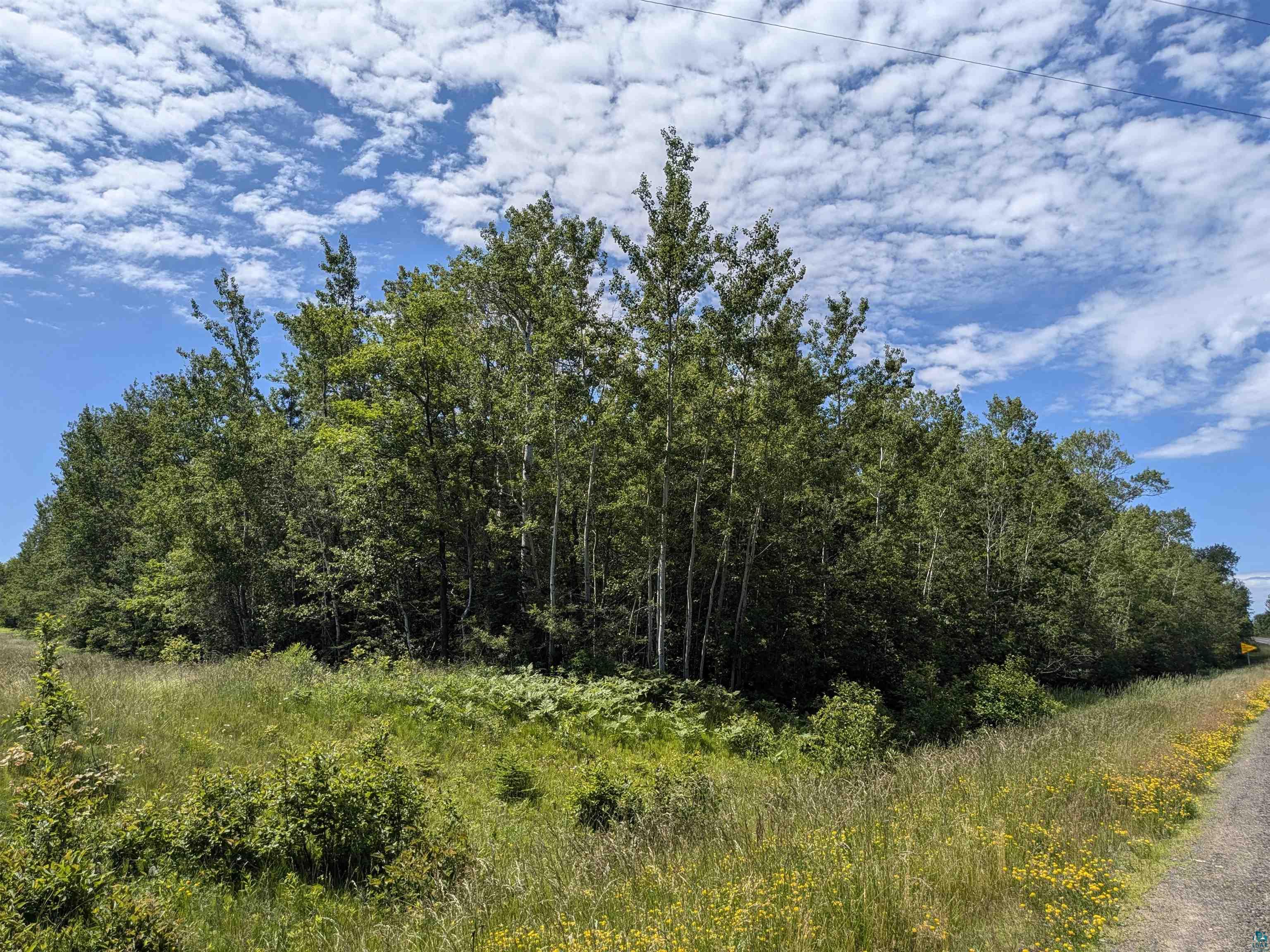 13 State Highway 13 Port Wing, WI 54865 - Photo 5 of 6 View of landscape