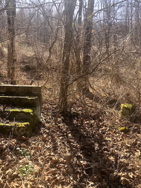 0 Grapevine Road Charleston, WV 25320 - Photo 23 of 36 Gallery Image 23